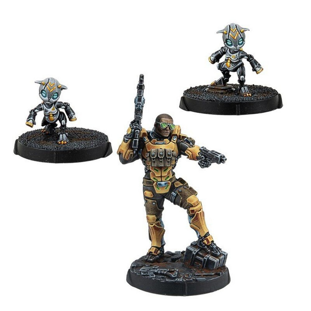 Infinity: Yu Jing: Gui Feng Xi Zhuang (Combi Rifle)