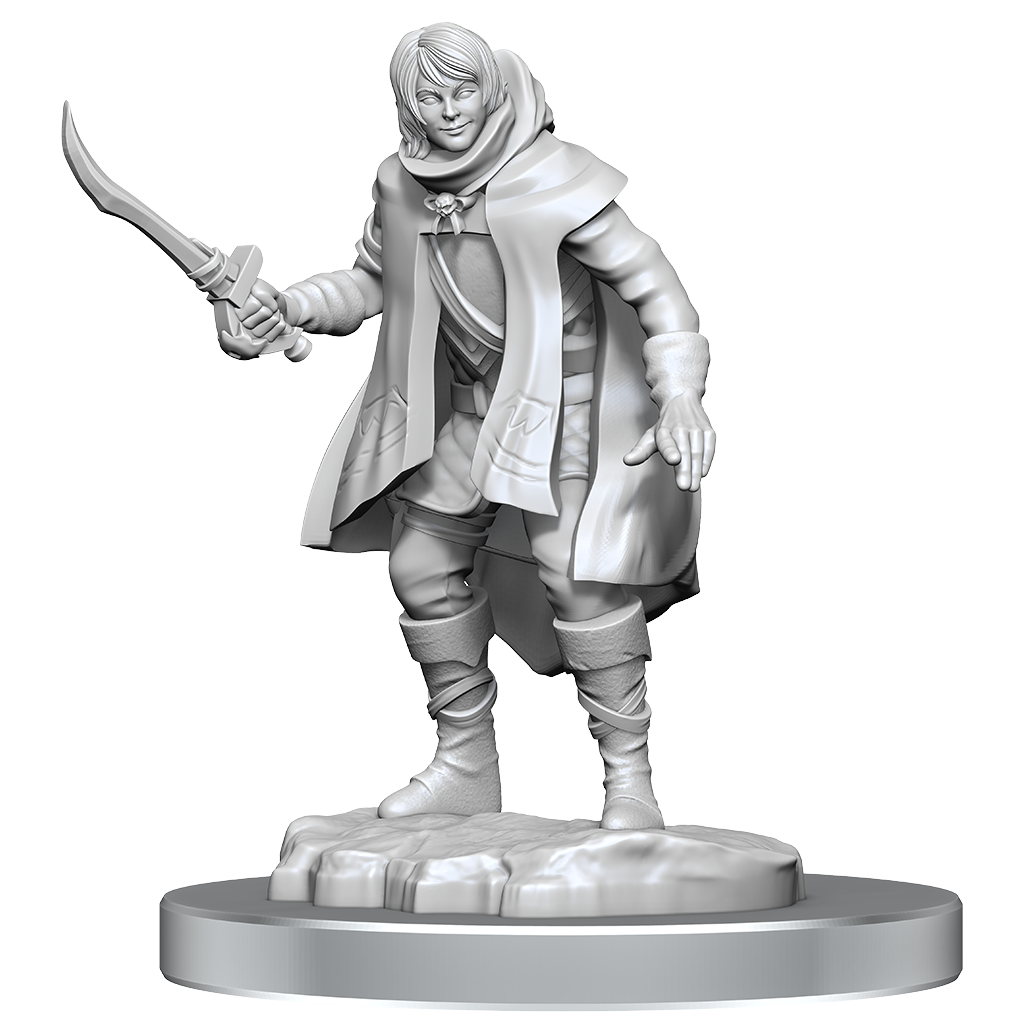 D&D Nolzurs Marvelous Miniatures Elf Rogue & Half-Elf Rogue Protege