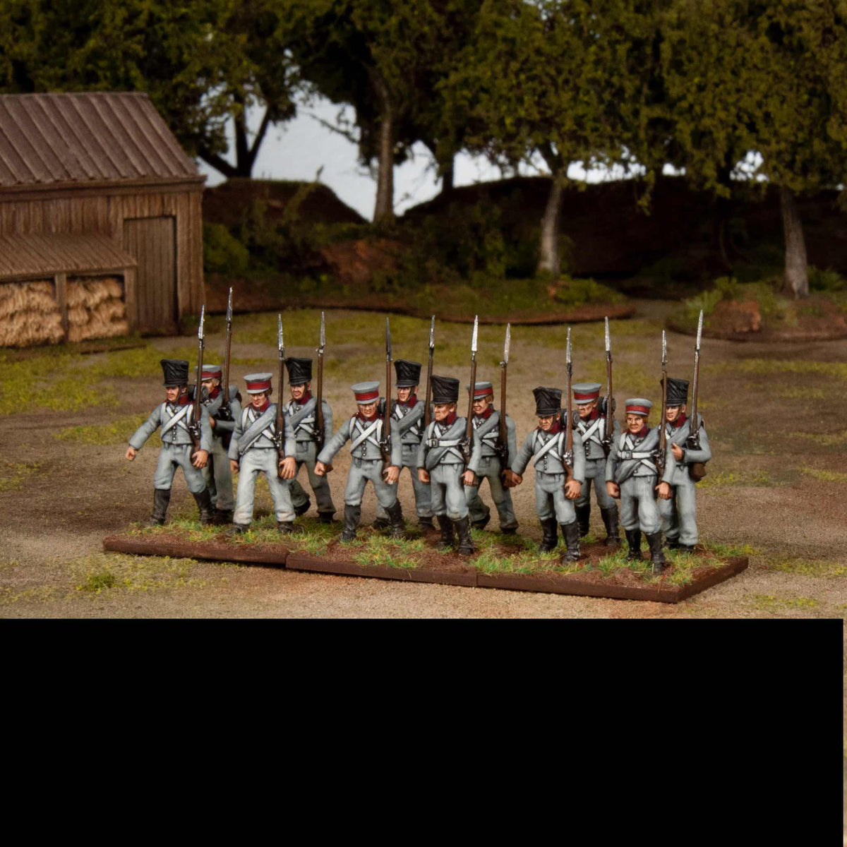 Napoleon's Wars - Prussian Reserve (1813-1815)