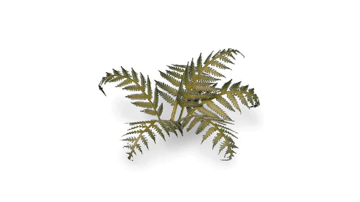 Gamers Grass - Laser Plants Bracken
