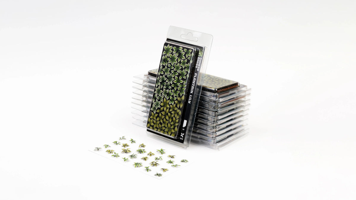 Gamers Grass - Laser Plants Plantain Lily