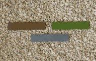 Renedra - Bases: 100 x 20mm (10)