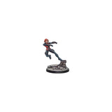 Marvel: Crisis Protocol – Magneto & Toad
