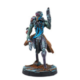 Infinity: Preorder Exclusive: Glyph Warcor Pre-order Exclusive Edition
