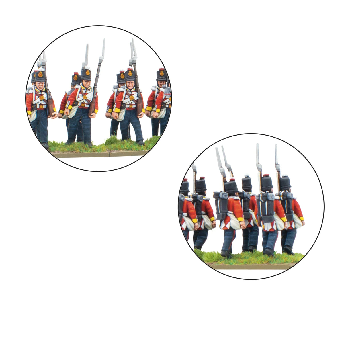 Black Powder - Crimean War: British Line Infantry