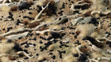 Gamers Grass - Tiny Black (1mm)