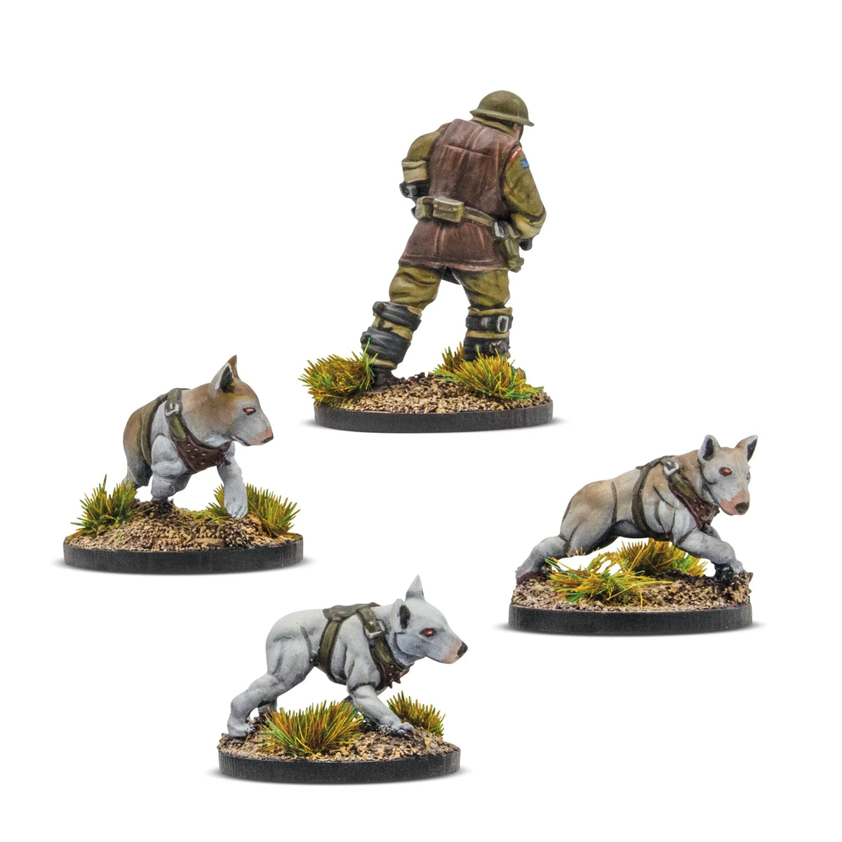 Konflikt '47 - British Commonwealth: Ceberus Squad I