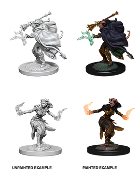 D&D Nolzurs Marvelous Unpainted Miniatures Female Tiefling Warlock