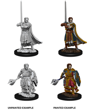 D&D Nolzurs Marvelous Unpainted Miniatures Male Human Cleric