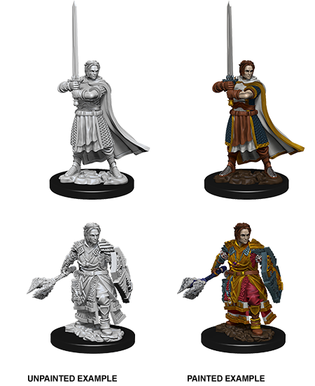 D&D Nolzurs Marvelous Unpainted Miniatures Male Human Cleric
