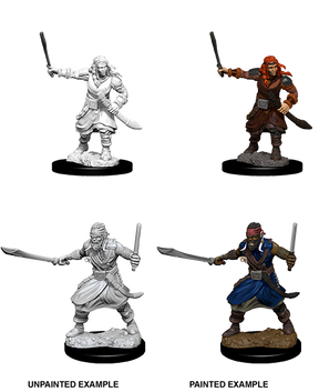 D&D Nolzurs Marvelous Unpainted Miniatures Bandits