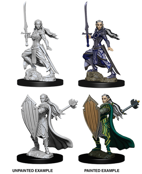 D&D Nolzurs Marvelous Unpainted Miniatures Female Elf Paladin