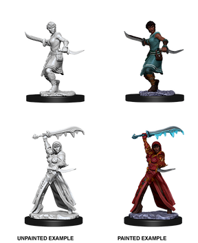 D&D Nolzurs Marvelous Unpainted Miniatures Female Human Rogue