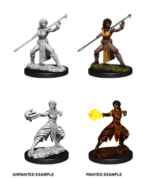 D&D Nolzurs Marvelous Unpainted Miniatures Female Half-Elf Monk