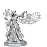 D&D Frameworks Elf Wizard Female