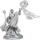 D&D Frameworks Elf Wizard Female