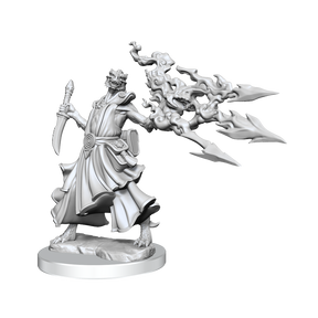 D&D Frameworks Dragonborn Sorcerer Female