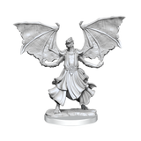 D&D Frameworks Dragonborn Sorcerer Female