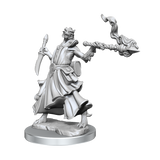 D&D Frameworks Dragonborn Sorcerer Female