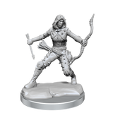 D&D Frameworks Human Rogue Female