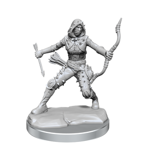 D&D Frameworks Human Rogue Female