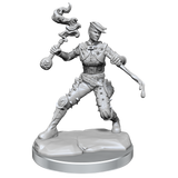 D&D Frameworks Human Rogue Female