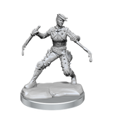 D&D Frameworks Human Rogue Female