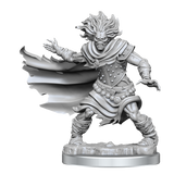 D&D Frameworks Wight