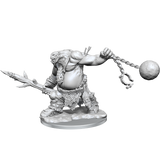 D&D Frameworks Ogre
