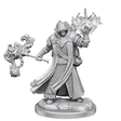 D&D Frameworks Human Cleric Male