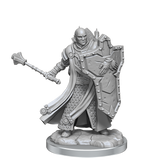 D&D Frameworks Human Cleric Male