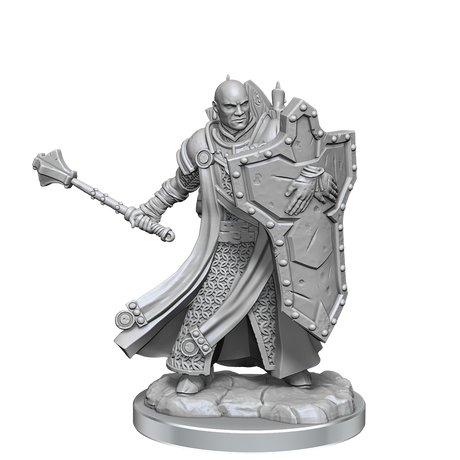 D&D Frameworks Human Cleric Male