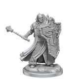 D&D Frameworks Human Cleric Male