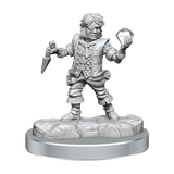 D&D Frameworks Halfling Rogue Male
