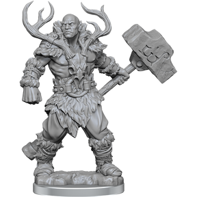 D&D Frameworks Goliath Barbarian Male