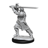 D&D Nolzurs Marvelous Unpainted Miniatures Human Paladin Male