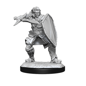D&D Nolzurs Marvelous Unpainted Miniatures Human Paladin Male
