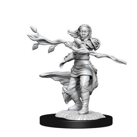 D&D Nolzurs Marvelous Unpainted Miniatures Human Druid Female