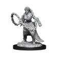 D&D Nolzurs Marvelous Unpainted Miniatures Human Monk Female