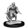 D&D Nolzurs Marvelous Unpainted Miniatures Half-Elf Rogue Female