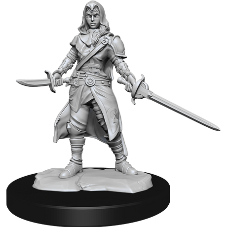 D&D Nolzurs Marvelous Unpainted Miniatures Half-Elf Rogue Female