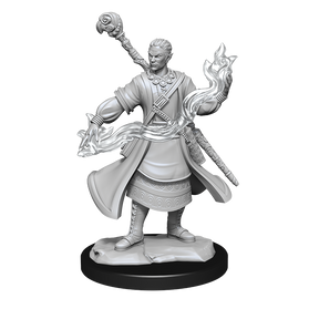 D&D Nolzurs Marvelous Unpainted Miniatures Half-Elf Wizard Male