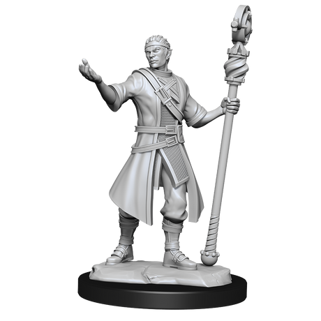 D&D Nolzurs Marvelous Unpainted Miniatures Half-Elf Wizard Male