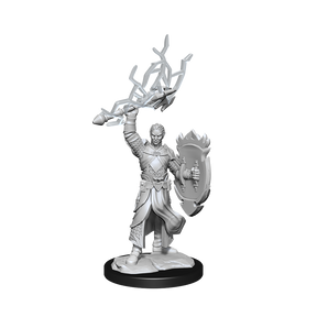 D&D Nolzurs Marvelous Unpainted Miniatures Half-Elf Paladin Male