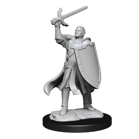 D&D Nolzurs Marvelous Unpainted Miniatures Half-Elf Paladin Male