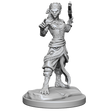 D&D Nolzurs Marvelous Miniatures Shifter Fighter