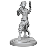 D&D Nolzurs Marvelous Miniatures Shifter Fighter
