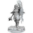 D&D Nolzurs Marvelous Miniatures Half-Elf Warlock