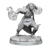 D&D Nolzurs Marvelous Miniatures Half-Elf Warlock
