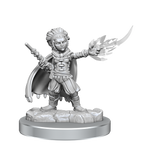 D&D Nolzurs Marvelous Miniatures Halfling Wizards